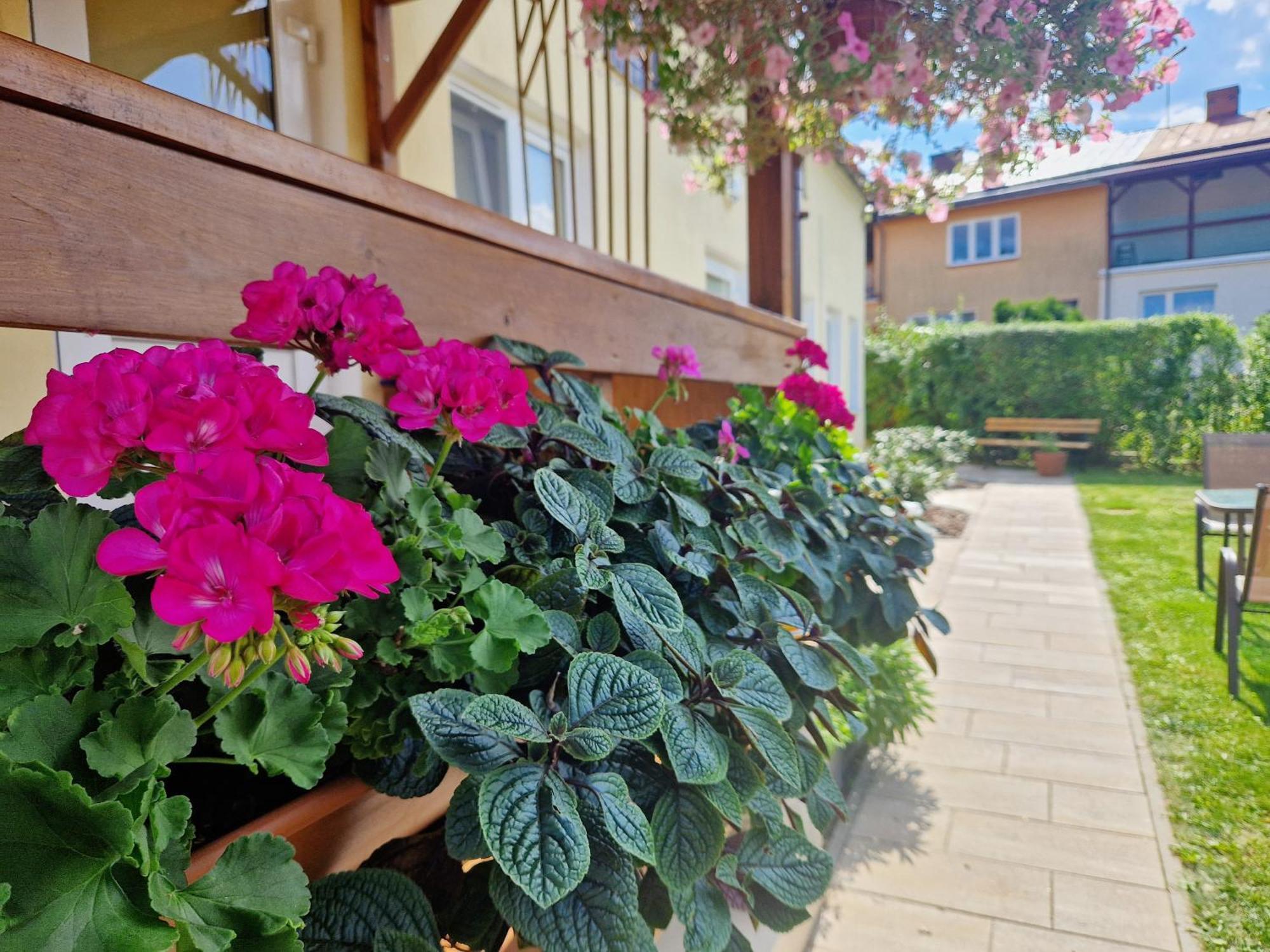 Apartament Cicho Sza Augustów Εξωτερικό φωτογραφία